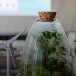 В Україні запрацює Зелена платформа – цифровий каталог зеленого фінансування