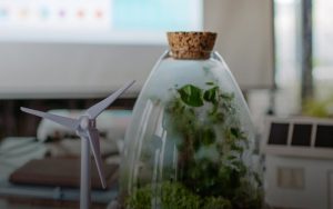 В Україні запрацює Зелена платформа – цифровий каталог зеленого фінансування