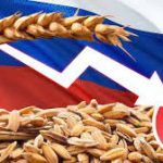 В Росії зменшився експорт пшениці — новини LB.ua