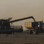 Жнива-2025 в Україні: перші результати від Мінагрополітики – новини LB.ua