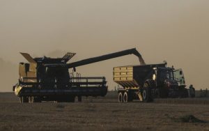 Жнива-2025 в Україні: перші результати від Мінагрополітики – новини LB.ua