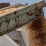 ЄС та Україна домовилися про нові умови імпорту агропродуктів – новини LB.ua
