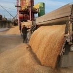 Наближені до Путіна олігархи захоплюють зерновий бізнес — новини LB.ua