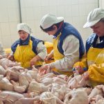 Пташиний грип: Україна обмежила ввезення продуктів зі штату Пенсильванія – LB.ua