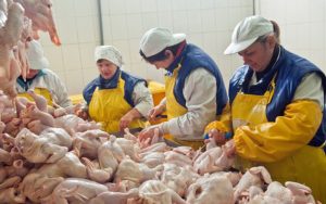 Пташиний грип: Україна обмежила ввезення продуктів зі штату Пенсильванія – LB.ua