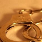 В Україні викрили ргупу що нечесно вивозила за кордон сільгосппродукцію LBua