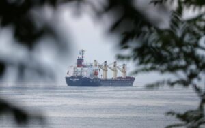 Адміністрація морських портів повідомила про відкриття порту Південний