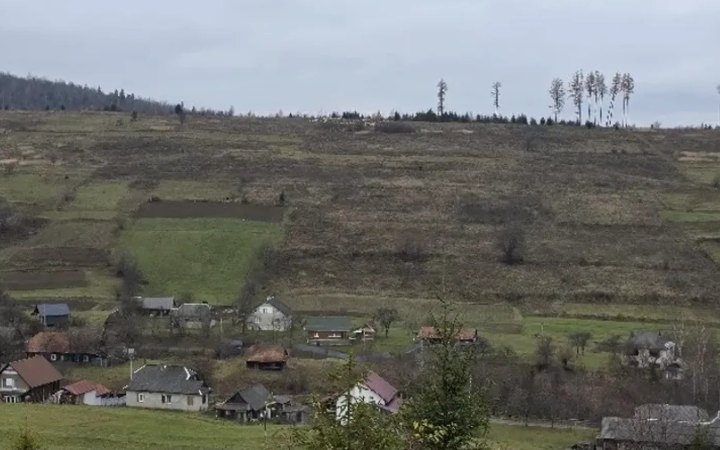 АРМА продала родині Льовочкіних 460 га землі на полонині Боржава новини LB.ua