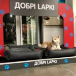 Епіцентр обладнав постійні зони для відпочинку тварин