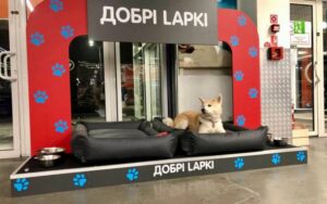 Епіцентр обладнав постійні зони для відпочинку тварин