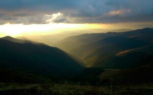 АРМА відмовилося підписати протокол про продаж землі на Боржаві