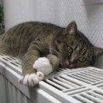 В Україні триває процес завершення опалювального сезону