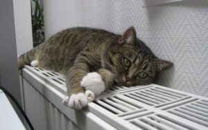 В Україні триває процес завершення опалювального сезону