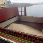 Мінагро: Україні восени ніде буде зберігати 11 млн тонн зерна
