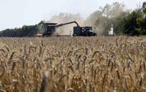 експорт агропродукції з України може впасти на 54 новини LB.ua