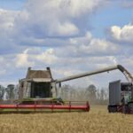 Уряд продовжив строки розрахунків за експорт агропродукції