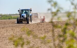 В Україні засіяли 16 млн га озимих зернових – дані Мінагро